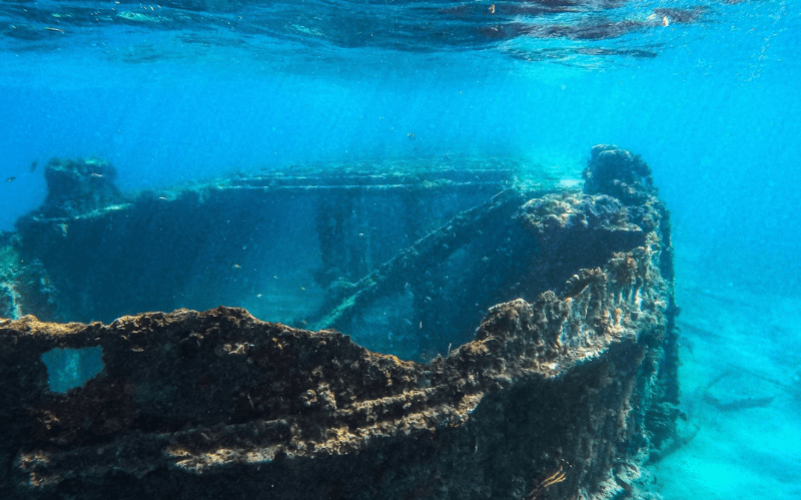 Excursion dans le grand cul de sac marin en bateau en Guadeloupe