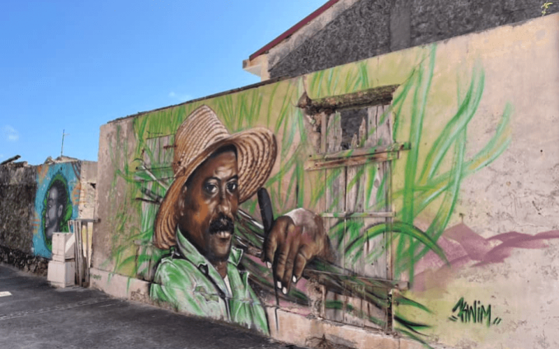 Visite guidée de marie-galante