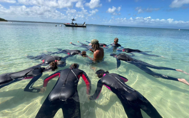 Initiation apnée Guadeloupe