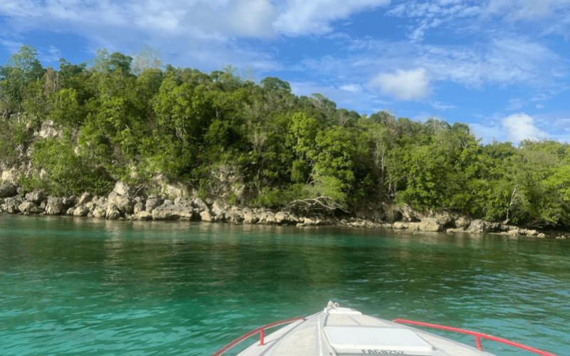 excursion Les Saintes Guadeloupe, nager avec les tortues Guadeloupe, snorkeling Pain de Sucre, Terre-de-Haut bateau, archipel des Saintes journée