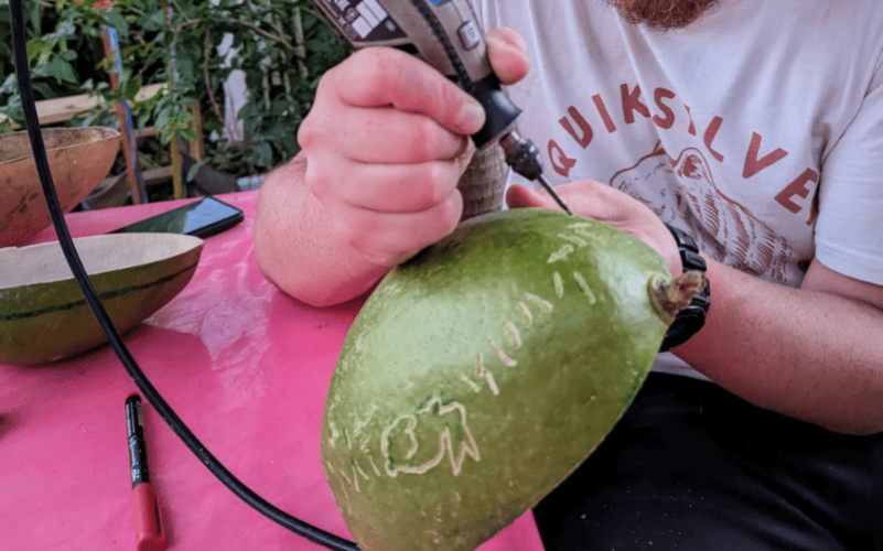 Fabriquez vos Bijoux en Graines Naturelles" avec la Kaz à Graines