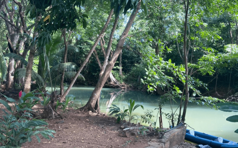Excursion en kayak et halte gourmande à la kassaverie de Sainte-Rose