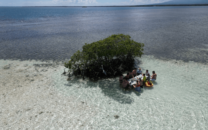 Excursion dans le grand cul de sac marin en bateau en Guadeloupe