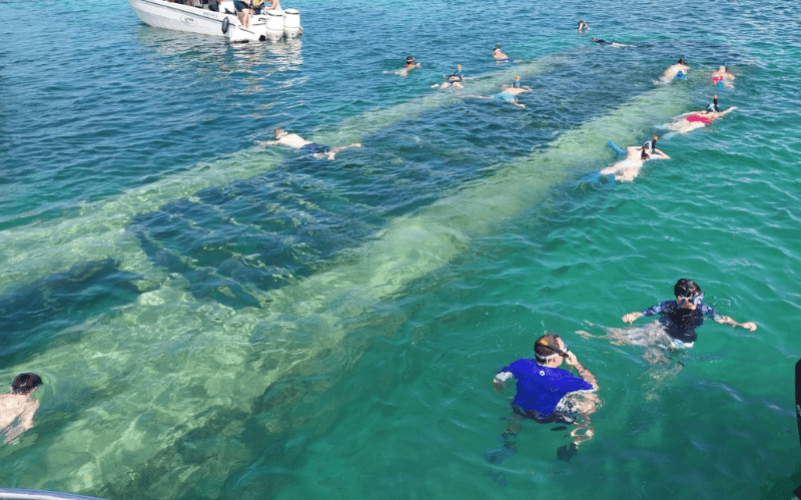Excursion dans le grand cul de-sac marin en catamaran