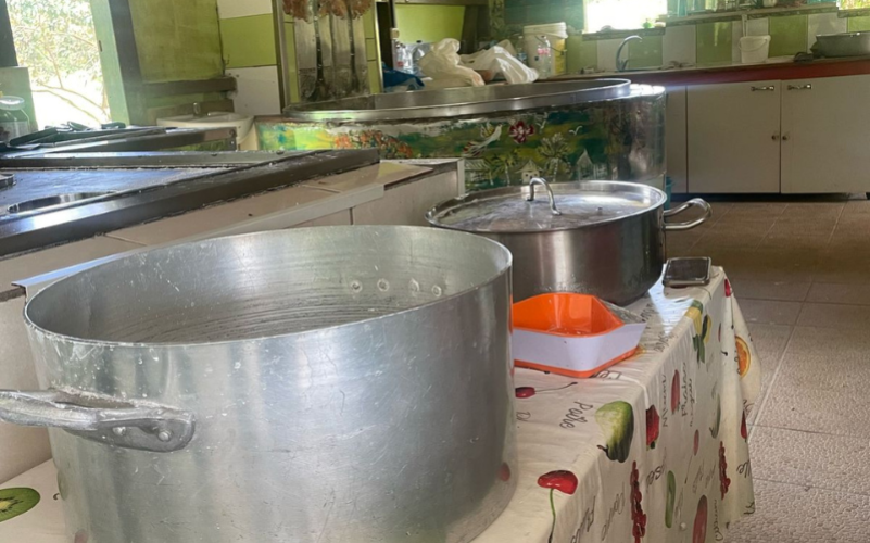 Immersion au cœur de l’univers de la banane de Guadeloupe