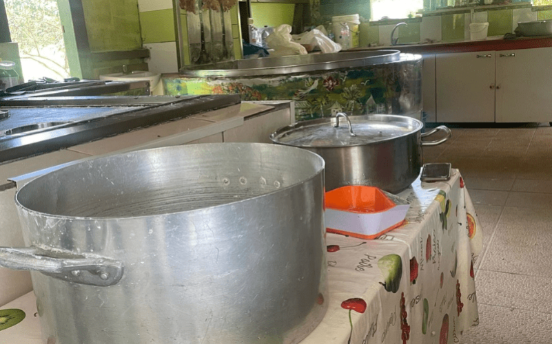 Immersion au cœur de l’univers de la banane de Guadeloupe