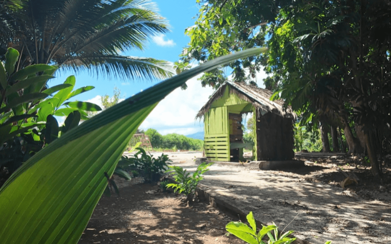 Excursion en kayak et halte gourmande à la kassaverie de Sainte-Rose