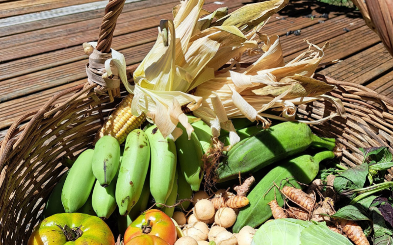Atelier sensoriel cuisine des produits locaux Guadeloupe