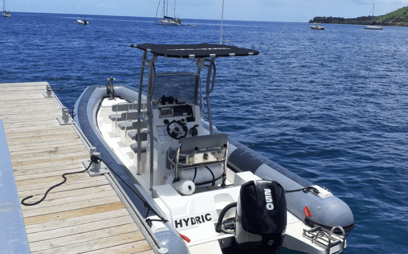 Observation de baleines & dauphins en Guadeloupe