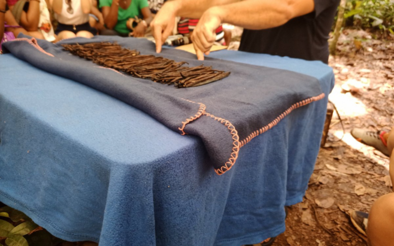 Visite de la Vanilleraie de Cedric Coutelier en Guadeloupe