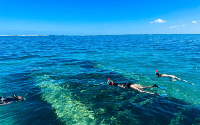 Journée à la découverte du Grand Cul-de-sac marin en bateau avec Serpico