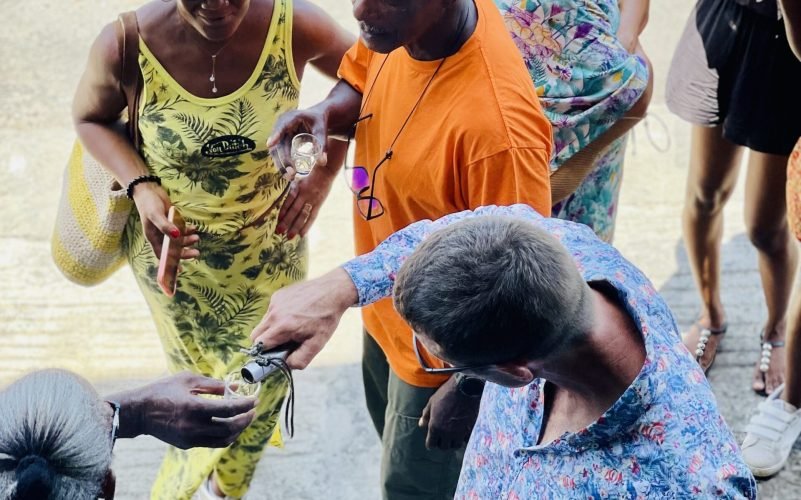 Ah rhum caraïbes factory - (3)