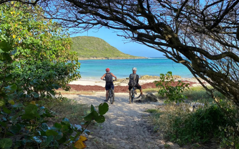 Excursion à vélo vtt en Guadeloupe