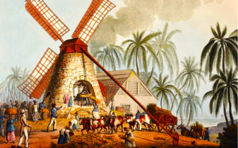 Découverte des traditions et saveurs du Nord Grande-Terre