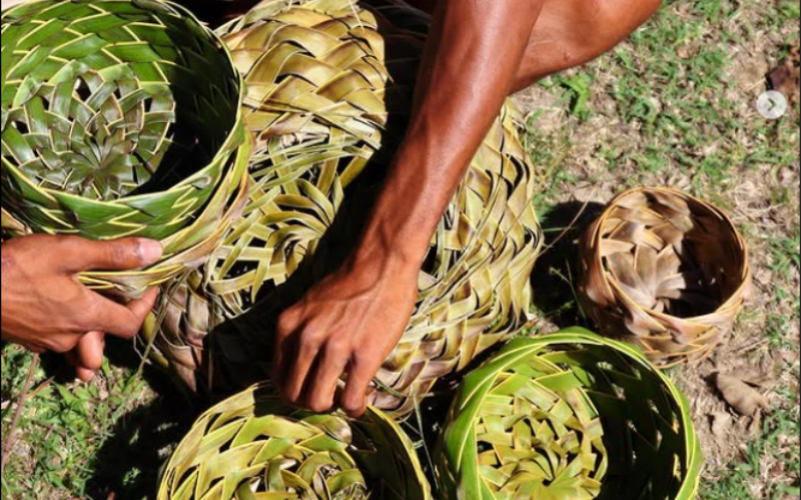 Atelier tressage de feuilles de cocotier guadeloupe
