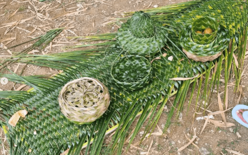 Atelier tressage de feuilles de cocotier guadeloupe