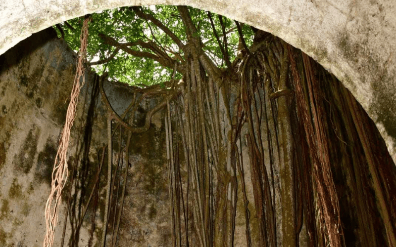 Conteur Ancestral - Poyen (2)