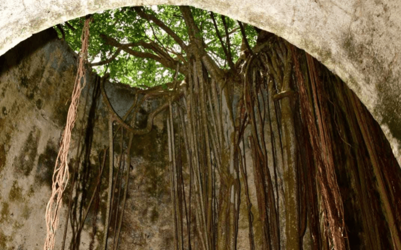 Conteur Ancestral - Poyen (2)