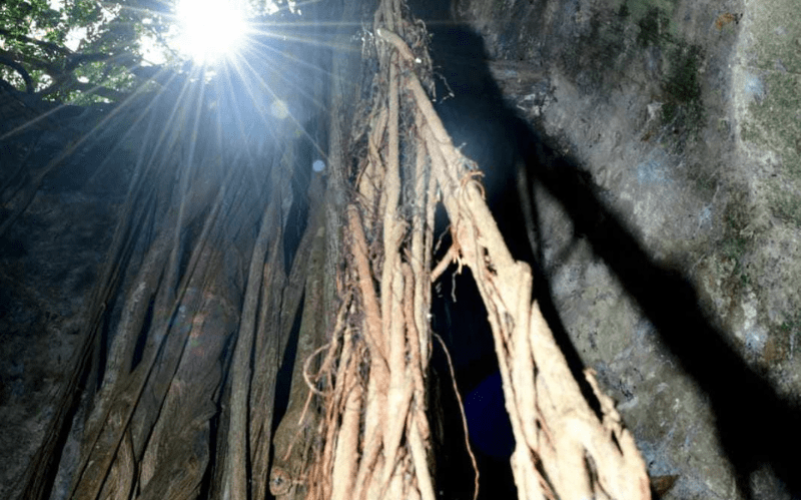 Conteur Ancestral - Poyen (5)