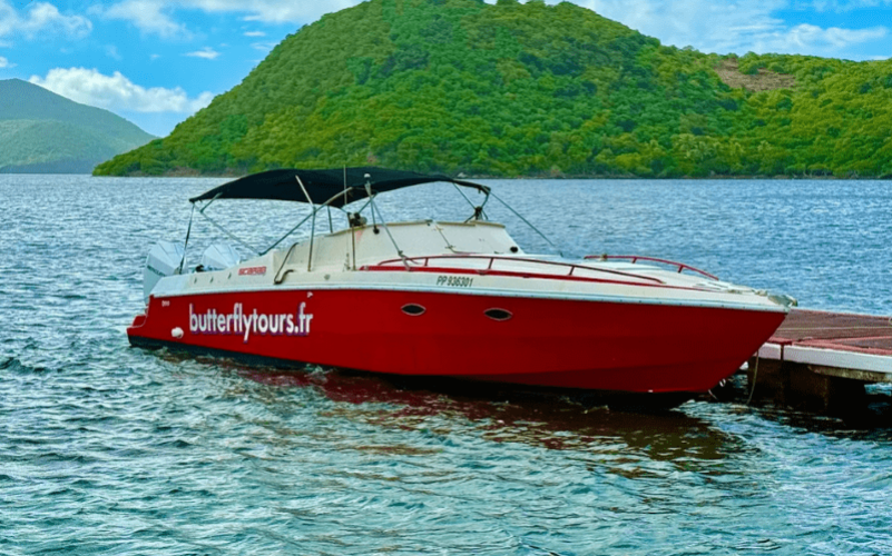 réserve naturelle Grand Cul de Sac Marin, snorkeling épave Guadeloupe, excursion mangrove Rivière Salée, bateau lagon Guadeloupe, îlet Caret Guadeloupe.
