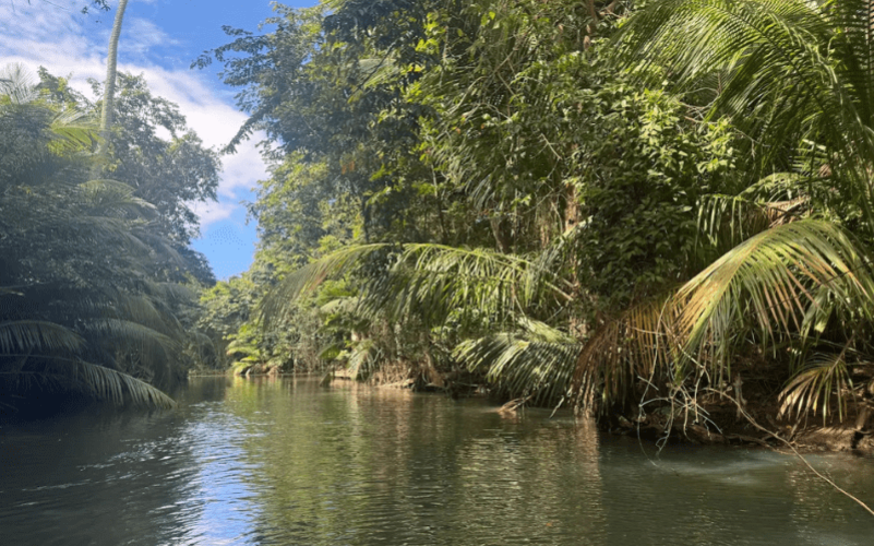 réserve naturelle Grand Cul de Sac Marin, snorkeling épave Guadeloupe, excursion mangrove Rivière Salée, bateau lagon Guadeloupe, îlet Caret Guadeloupe.