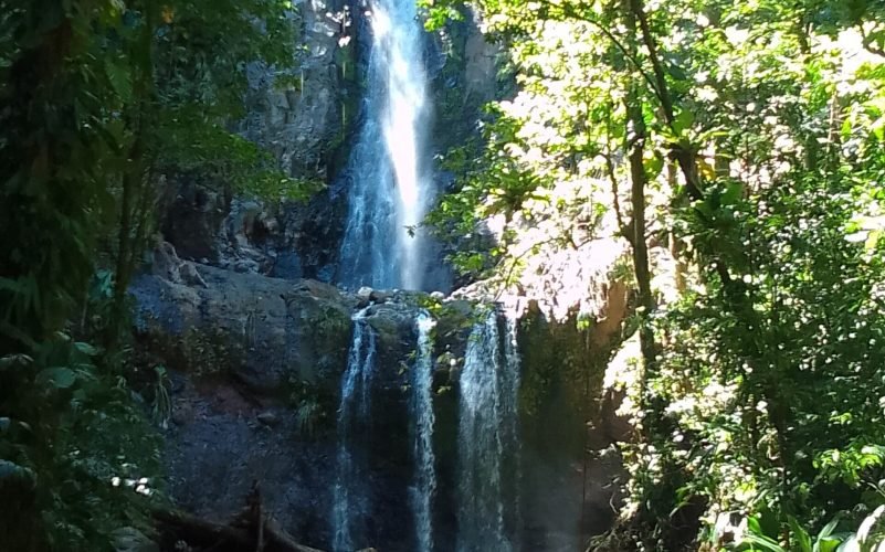 Randonnées en Basse-Terre Guadeloupe