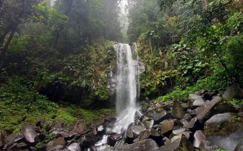 Randonnées en Basse-Terre Guadeloupe