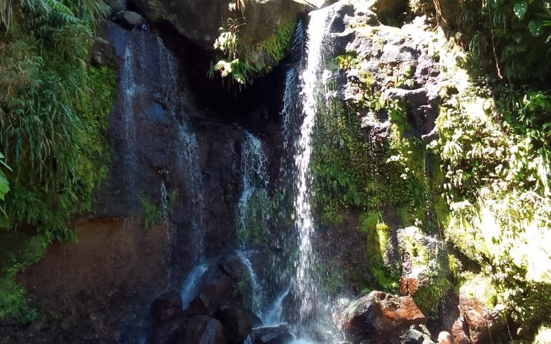 Randonnées en Basse-Terre Guadeloupe