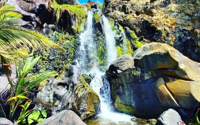 Randonnées en Basse-Terre Guadeloupe