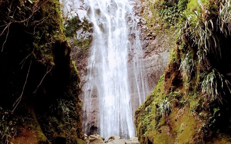 Randonnées en Basse-Terre Guadeloupe