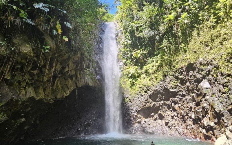 Randonnées en Basse-Terre Guadeloupe