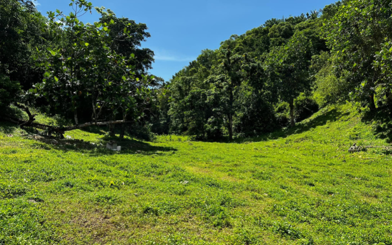 Balade contée dans les Grand-Fonds Sainte-Anne