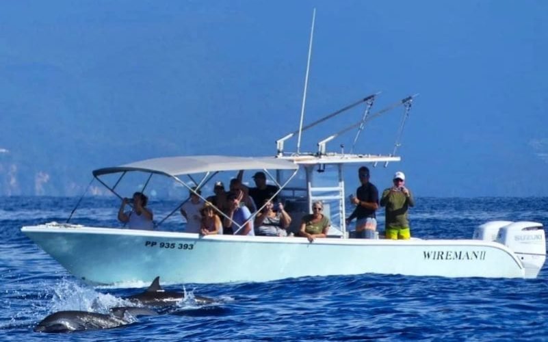 Observation de Cétacés en Guadeloupe