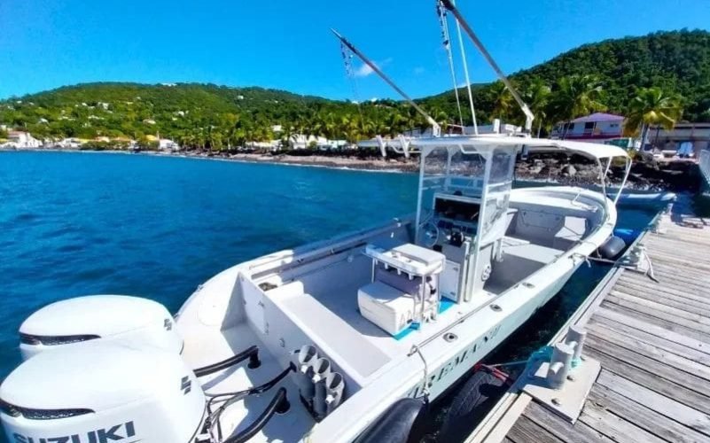 Observation de Cétacés en Guadeloupe