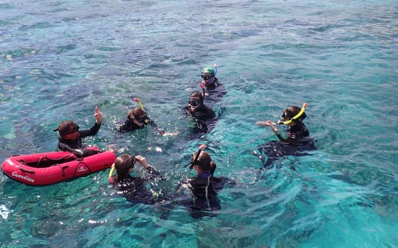 Randonnée palmée snorkeling dans la réserve cousteau