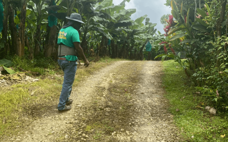 Jardin de la rencontre (16)