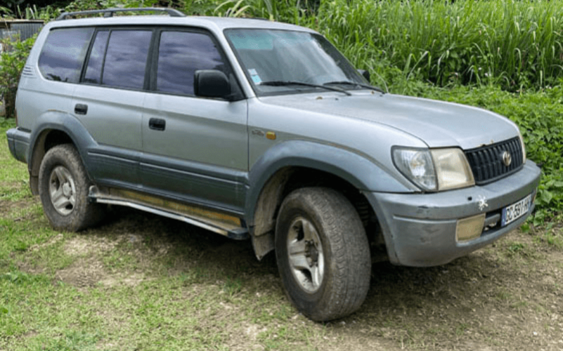 Jardin de la rencontre à Capesterre-Belle-Eau