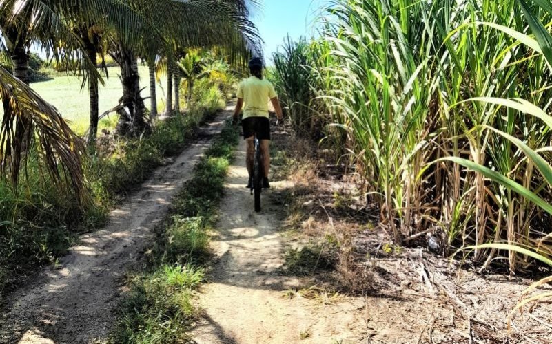 Randonnées en trottinettes électriques tout-terrain en Guadeloupe