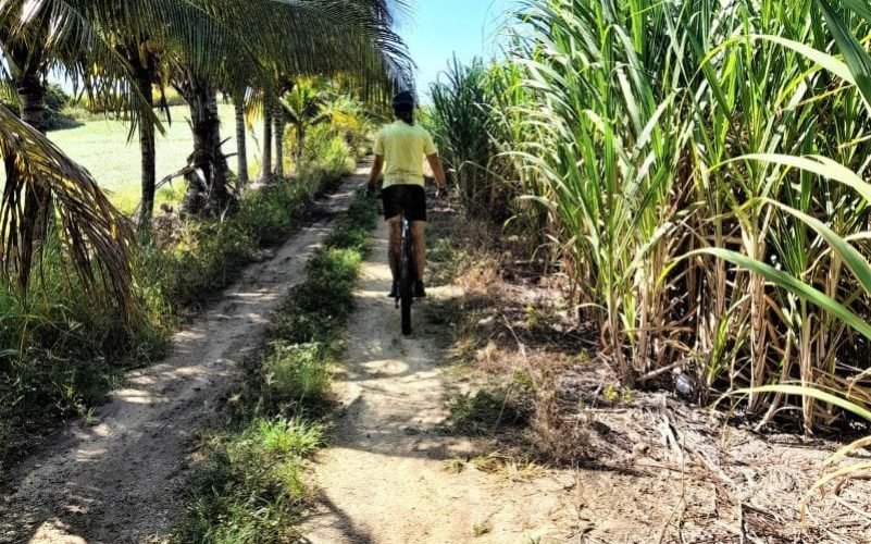 Randonnées en trottinettes électriques tout-terrain en Guadeloupe