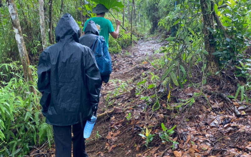 Visite guidée de la vanilleraie Karukera Vanilline en Guadeloupe à Sainte-Rose