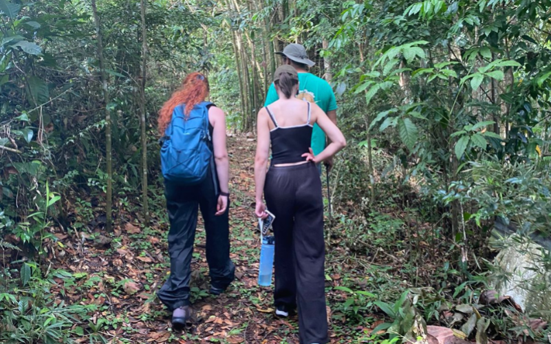 Visite guidée de la vanilleraie Karukera Vanilline en Guadeloupe à Sainte-Rose