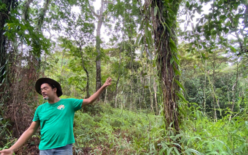 Visite guidée de la vanilleraie Karukera Vanilline en Guadeloupe à Sainte-Rose