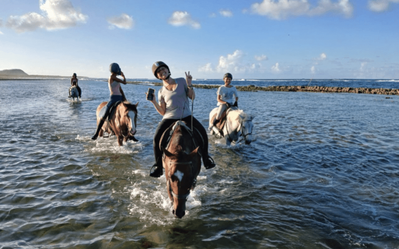 Balade en bord de mer à cheval – Saint-François