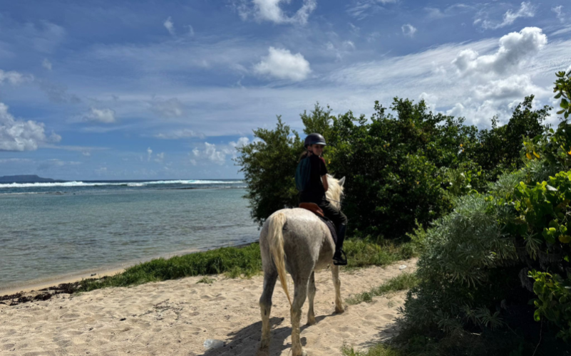 Karukera horses (5)