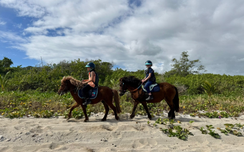 Karukera horses (6)
