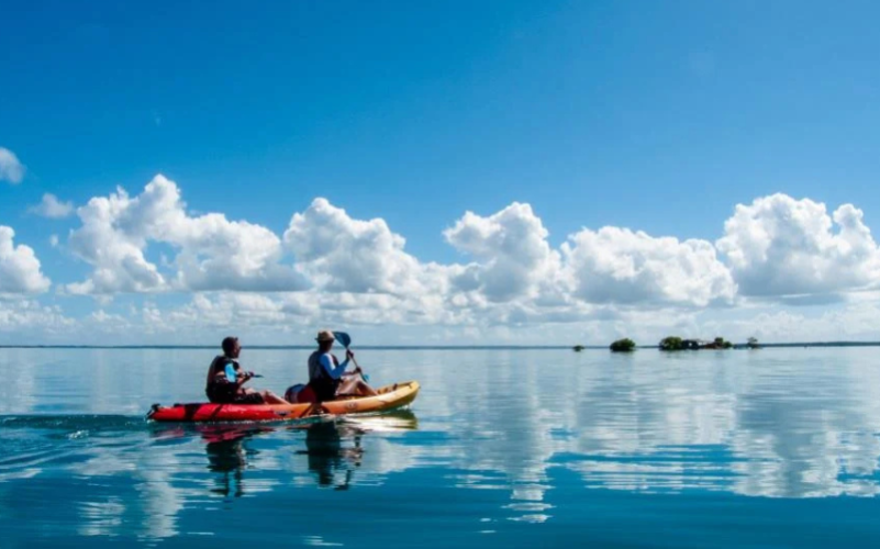 Kayak mangrove Sainte-Rose (3)
