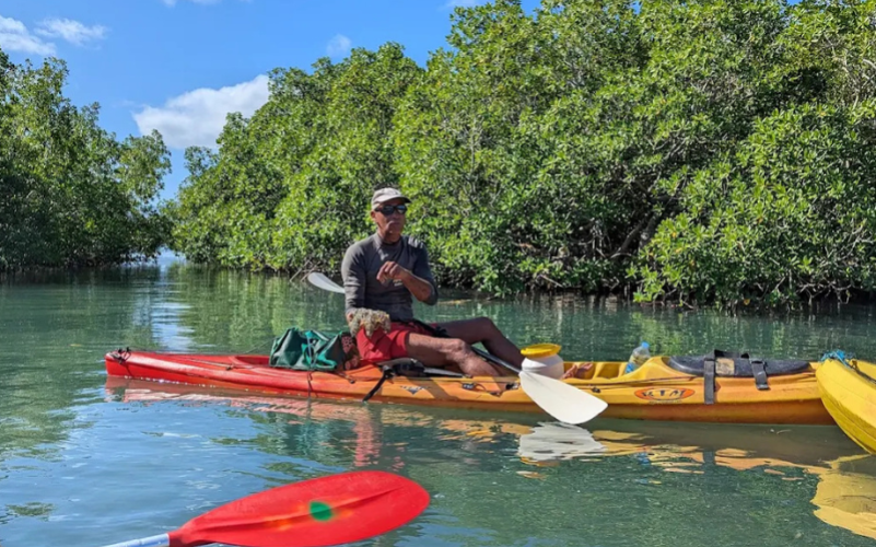 immersion guidée et écologique dans la réserve UNESCO. Basé à Sainte-Rose
