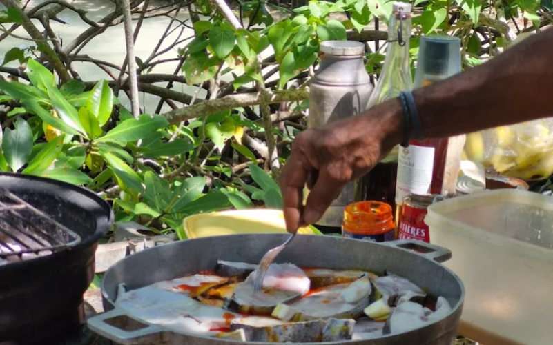 immersion guidée et écologique dans la réserve UNESCO. Basé à Sainte-Rose