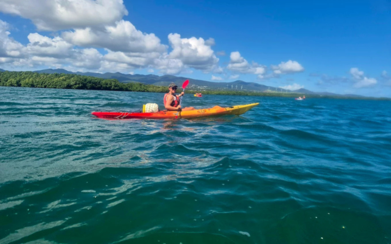 immersion guidée et écologique dans la réserve UNESCO. Basé à Sainte-Rose