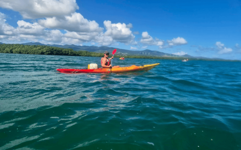 immersion guidée et écologique dans la réserve UNESCO. Basé à Sainte-Rose